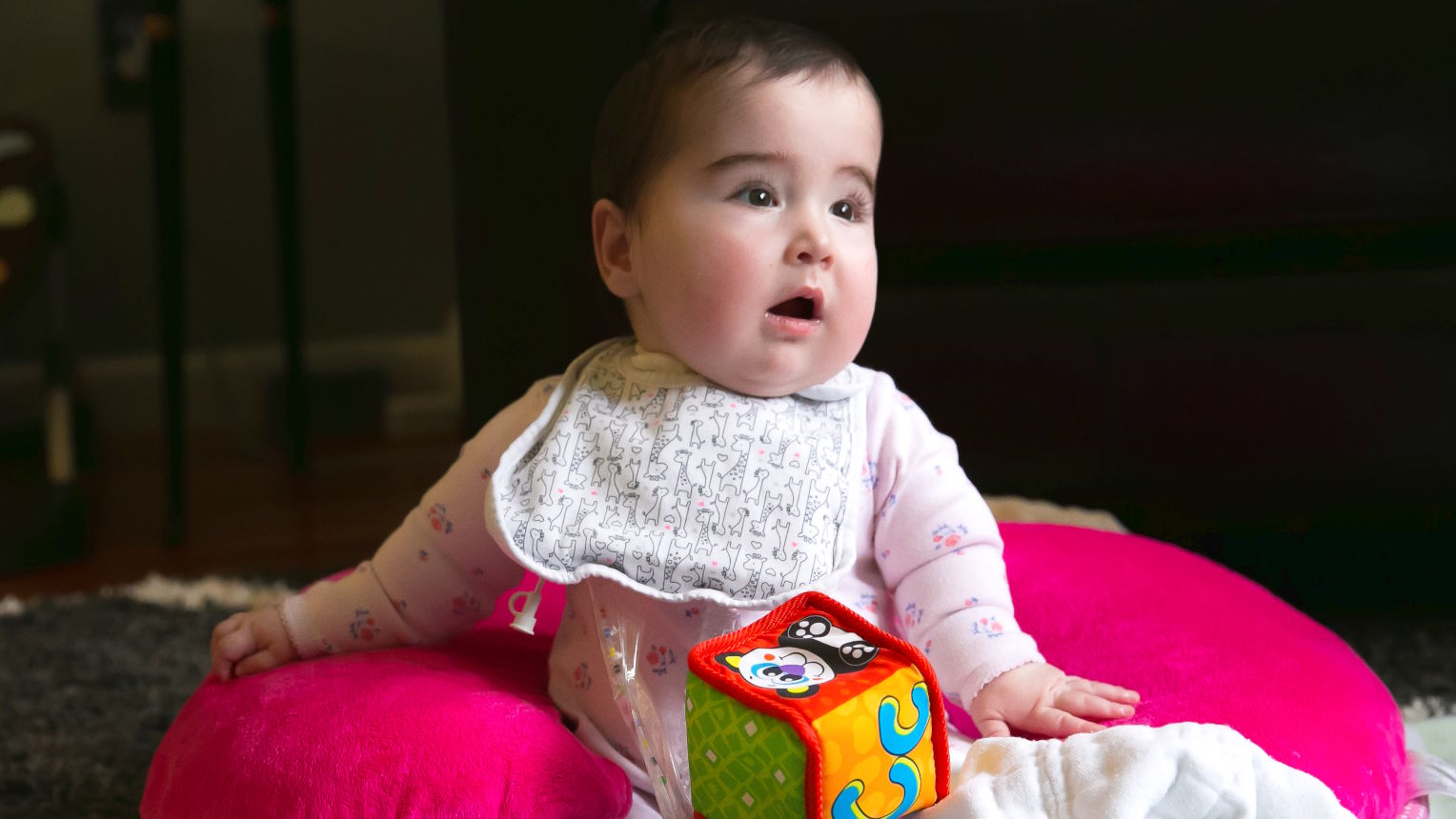 Adelyn on pink cushion